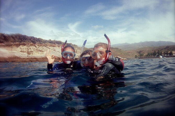 South Tenerife Snorkeling Trip - Cancellation Policy
