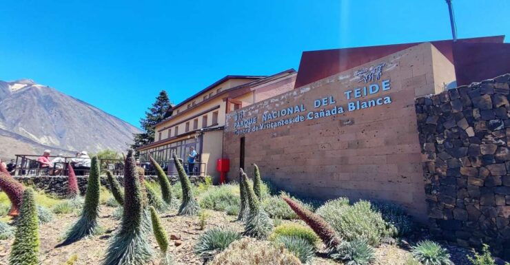 South Tenerife: Teide National Park and Masca Private Tour - Experience Highlights