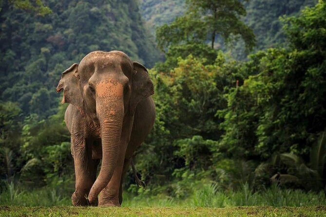 South Thailand: Riding The Coastline of Dreams (12 Day Tour) - Final Thoughts