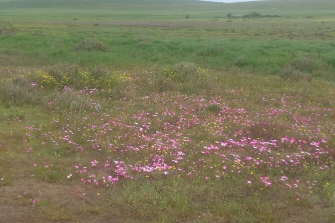 South to North West Rural Tour - Tour Details