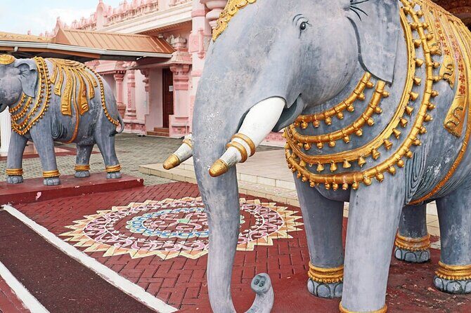 South Tour (Package) to Trinidad Pitch Lake & Datatria Temple - The Itinerary: What to Expect on the South Tour