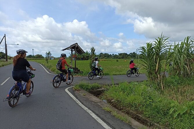 South Ubud Ebike Tour and Ayung River White Water Rafting - Tour Highlights