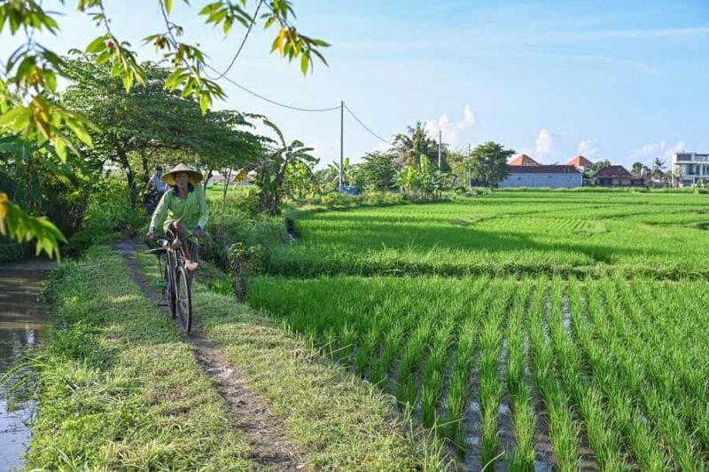South Ubud: Electric Mountain Bike Tour - Heart of the Rice Fields - Half Day (Private) - Good To Know