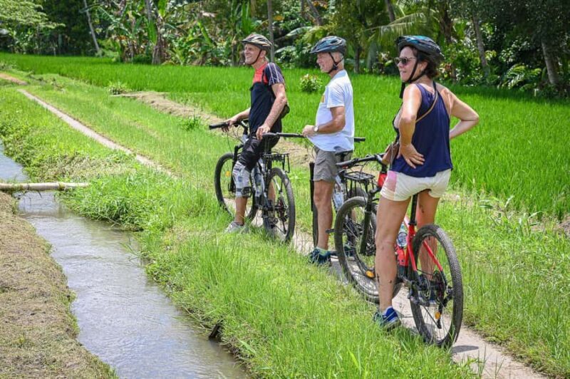 South Ubud: Electric Mountain Bike Tour - Heart of the Rice Fields - Half Day (Private) - Why This Tour Offers Great Value