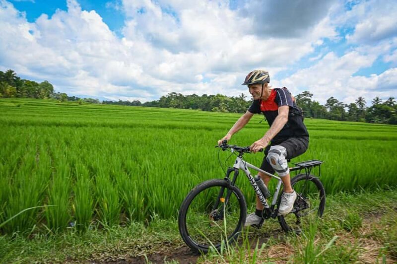 South Ubud: Electric Mountain Bike Tour - Heart of the Rice Fields - Half Day (Private) - Good To Know