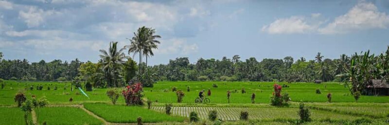 South Ubud: Electric Mountain Bike Tour - Heart of the Rice Fields - Half Day (Private) - Why This Tour Is a Great Choice