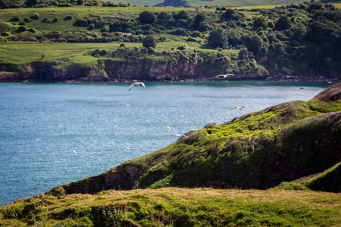 South West Coast Path Walking South Devon Coastline (9 Days, 8 Nights) - Day 3: Scenic Views in Sidmouth and Beer