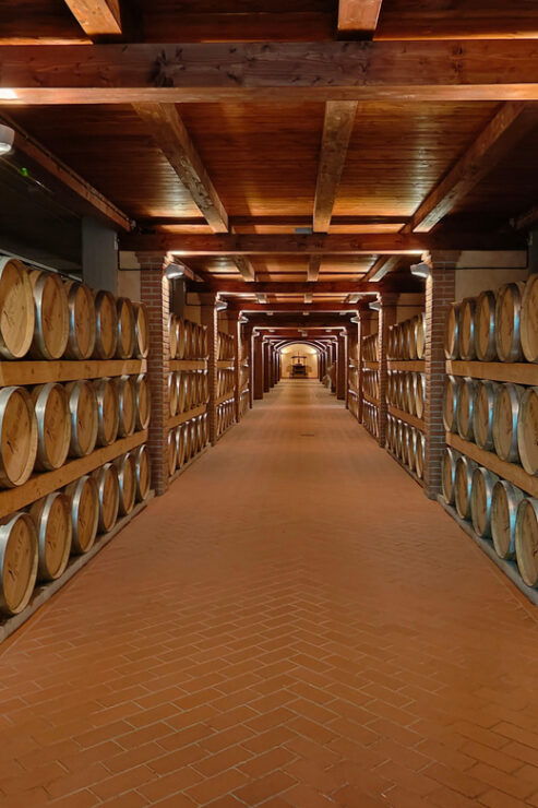 South West Sardinia: Wine Tour With Winery Visit & Tasting - Experience Highlights
