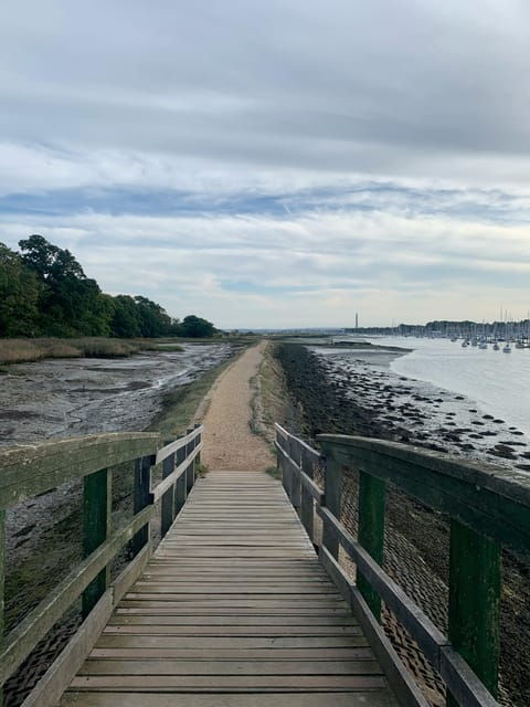 Southampton Cruise Port Transfer to London with Tour - The Journey Begins at Southampton Cruise Port
