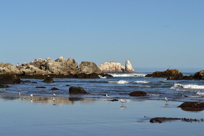 Southcoast - Full-Day Tour - Tour Inclusions