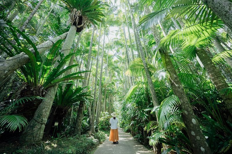 Southeast Botanical Gardens Admission Ticket (Okinawa) - What to know before you go