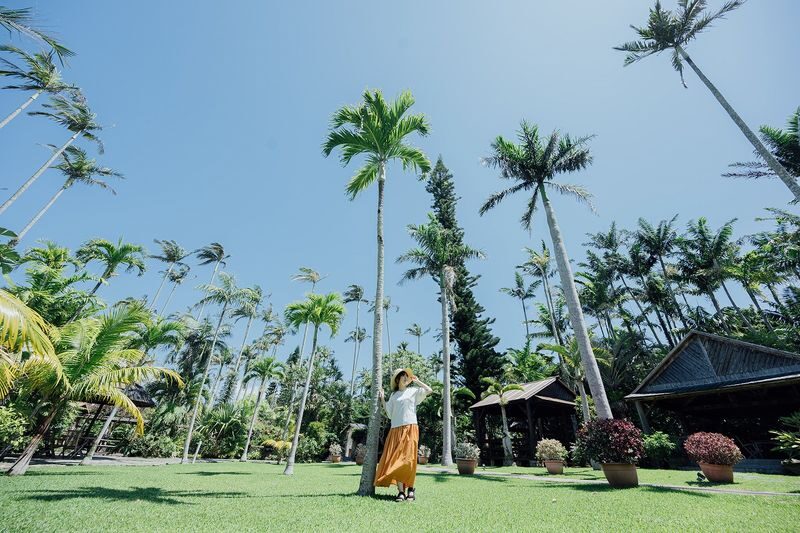 Southeast Botanical Gardens Admission Ticket (Okinawa) - Slow down on Royal Palm Avenue