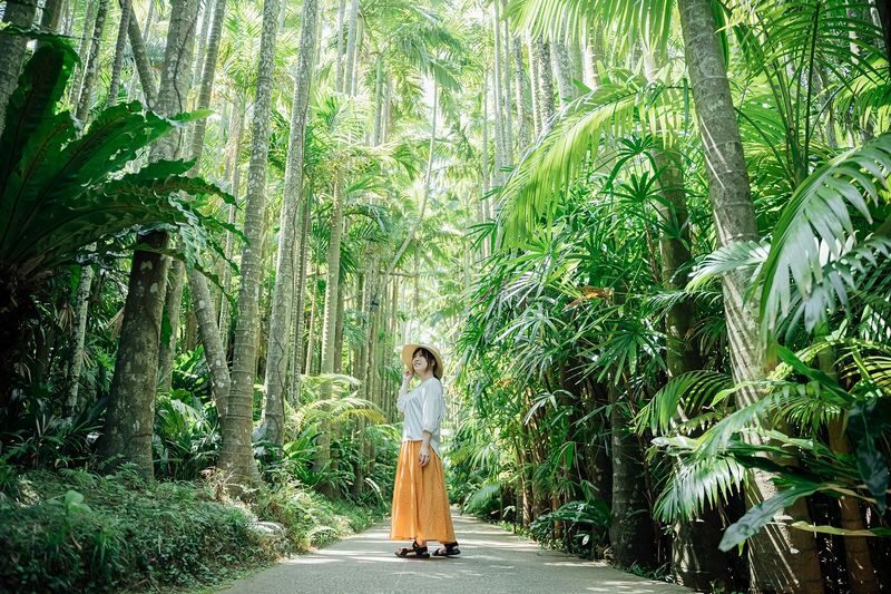 Southeast Botanical Gardens Admission Ticket (Okinawa) - What the ticket covers, and where value changes