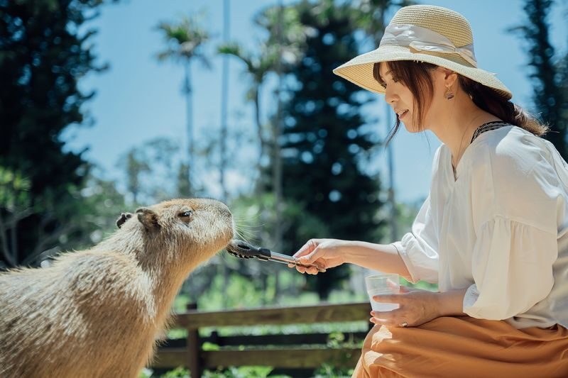 Southeast Botanical Gardens Admission Ticket (Okinawa) - Getting there and planning your visit