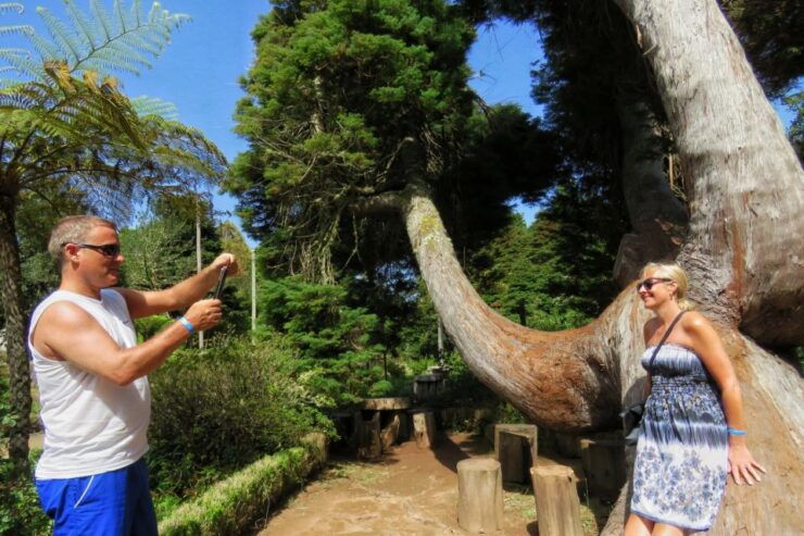 Southeast Madeira: Open Top 4x4 Tour - Tour Activity Details