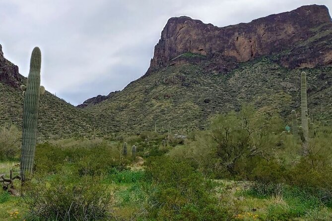 Southern Arizona Full-Day Historical Tour From Phoenix - Private Tour - Picacho Peak State Park Exploration