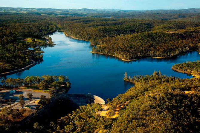 Southern Barossa: 10-Minute Helicopter Flight - Scenic Barossa Valley Views