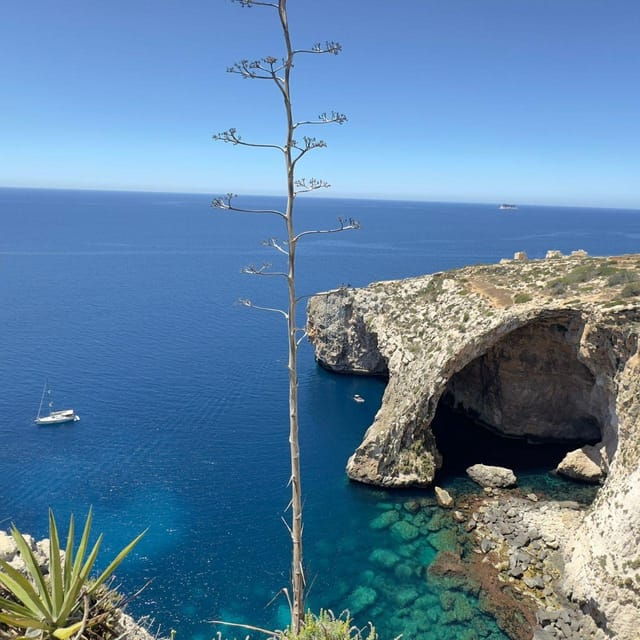 Southern Beauties: Marsaxlokk and Blue Cave TOUR IN PORTUGUESE - Authentic Experiences and Traveler Insights