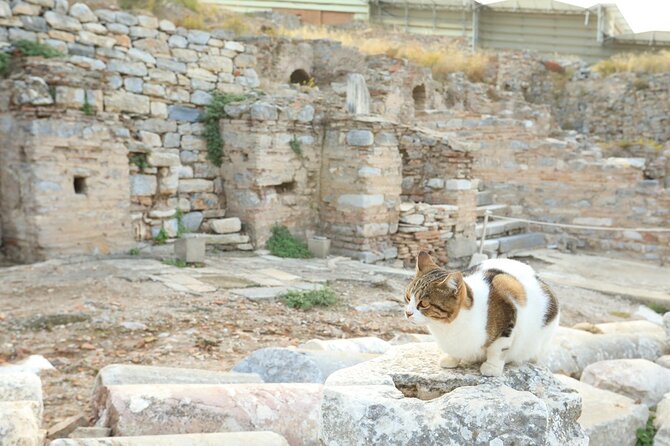 Southern Cappadocia Tour With Selime Monastery and Derinkuyu - Istanbul - Common Questions