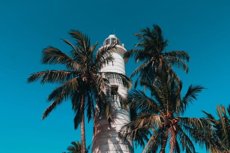 Southern Coast Highlights From Colombo Seaport - Itinerary Details