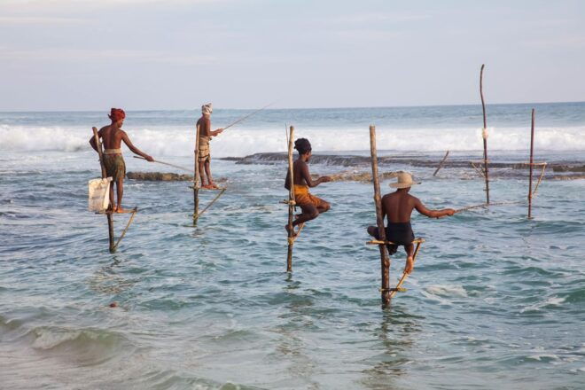 Southern Coast Highlights From Colombo Seaport - Exploring the Fort of Galle