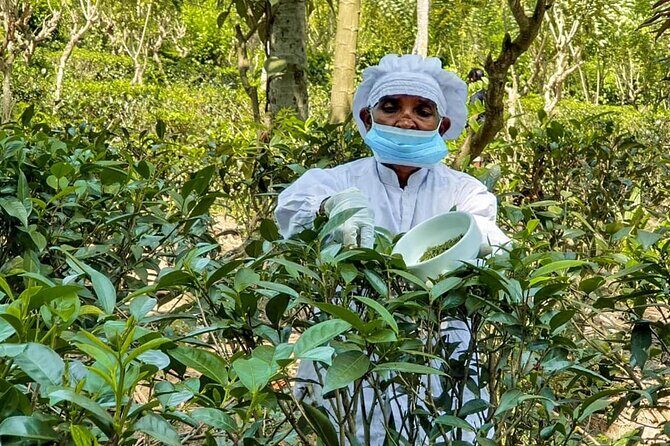 Southern Coast Highlights from Hambantota - Exploring Hambantota and Its Surroundings