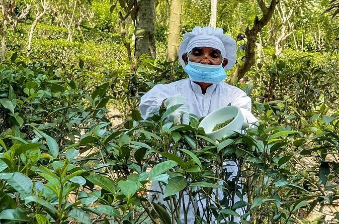 Southern Coast Highlights from Hambantota - Final Thoughts