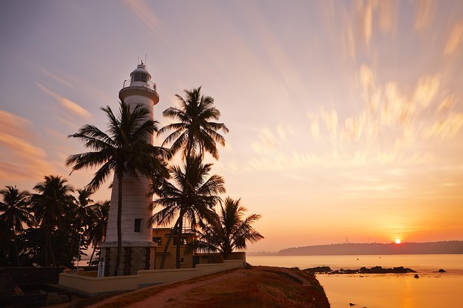 Southern Coast Highlights From Weligama - Inclusions and Services
