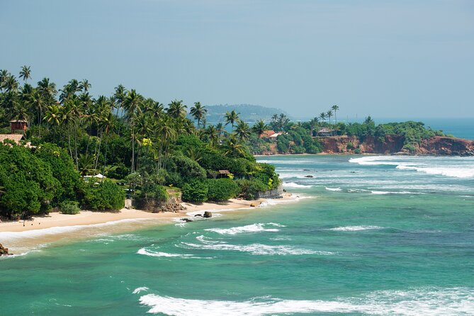 Southern Coast Highlights Tour From Bentota - Key Highlights