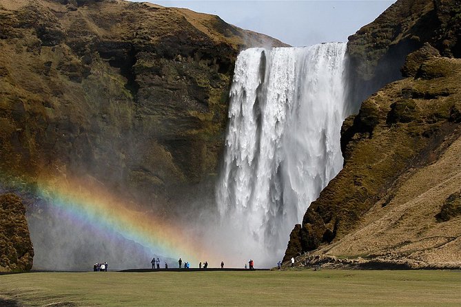 Southern Coast, Waterfalls & Black Beach Full-Day Bus Tour From Reykjavik - Tour Guide Performance and Customer Experience
