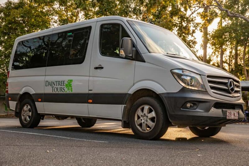 Southern Daintree Explorer Tour - Half Day - Possible Drawbacks and Considerations