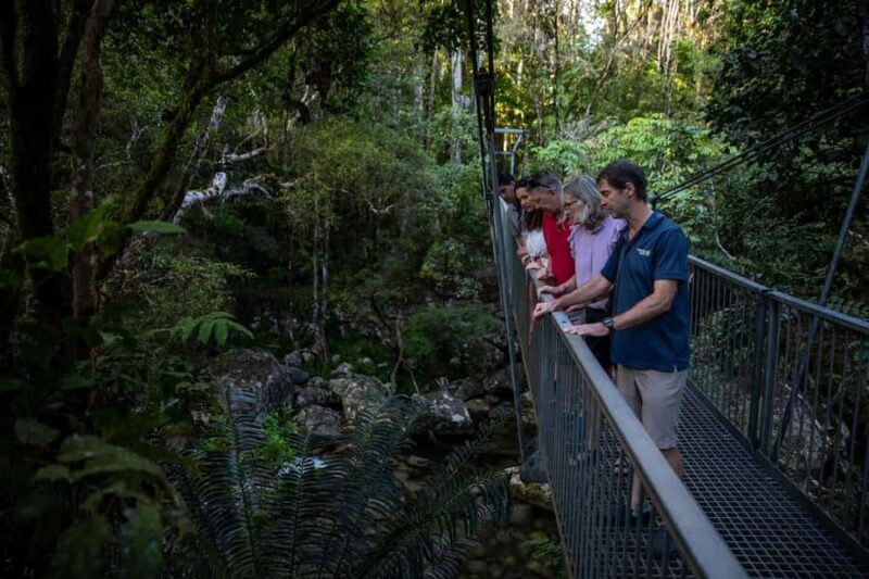 Southern Daintree Explorer Tour - Half Day - Who Should Consider This Tour?