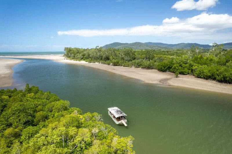 Southern Daintree Explorer Tour - Half Day - Final Thoughts