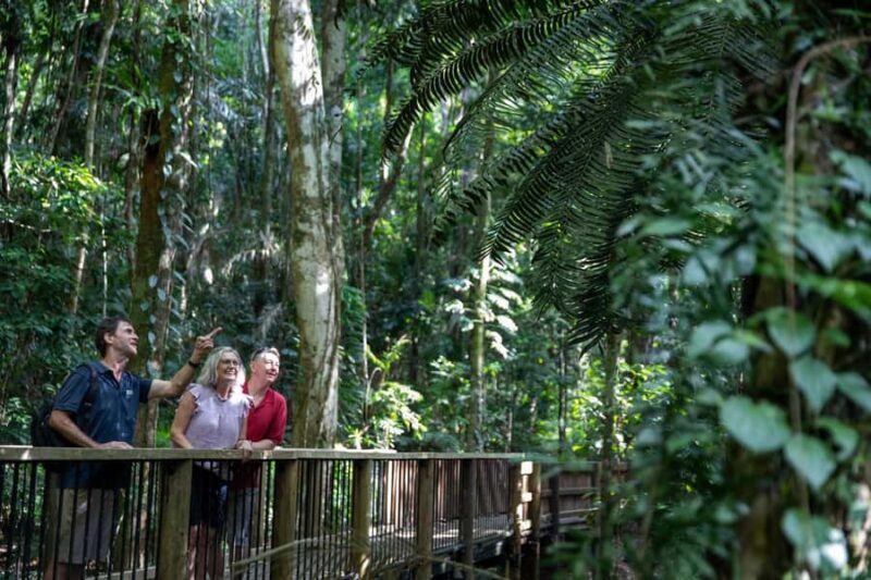 Southern Daintree Explorer Tour - Half Day - FAQ