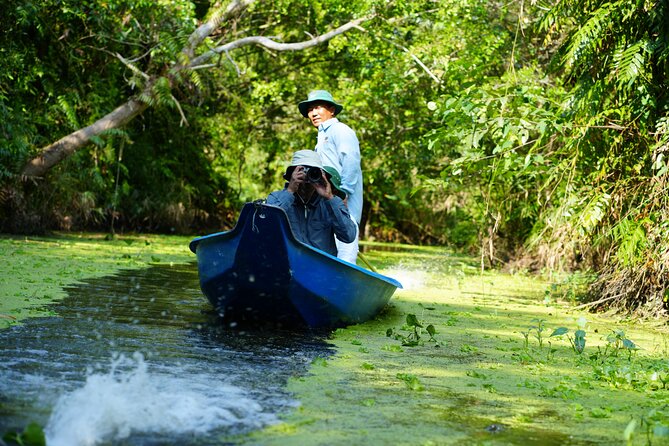 Southern Forest Tour – Explore Hau Giang Nature - Travel Tips and Recommendations