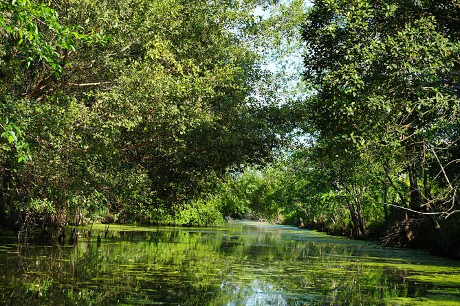 Southern Forest Tour – Explore Hau Giang Nature - The Sum Up