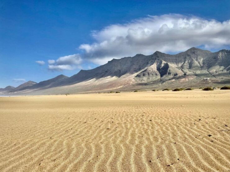 Southern Fuerteventura: Cofete Beach and Desert Safari - Free Cancellation and Flexible Booking Options