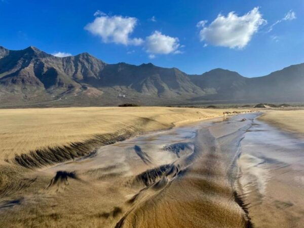 Southern Fuerteventura: Cofete Beach and Desert Safari - Common Questions