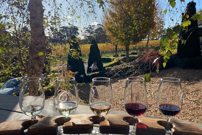Southern Highlands Full-Day Wine Tour - The Itinerary in Detail: What to Expect