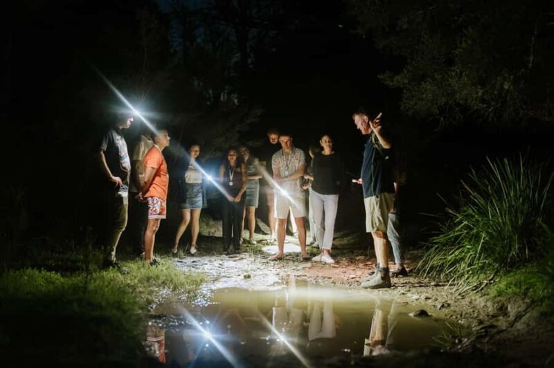 Southern Highlands: Nocturnal Wildlife Experience - An In-Depth Look at the Nocturnal Wildlife Tour