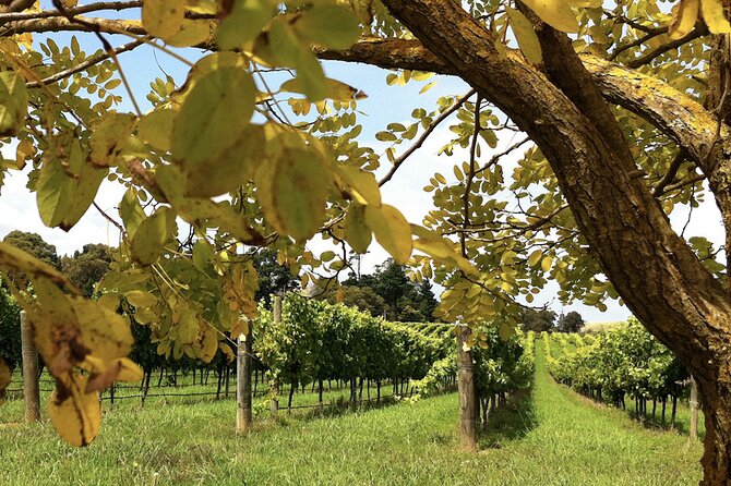 Southern Highlands Private Tour With Wine, Waterfall and Garden - Tour Overview