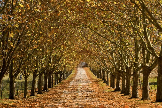 Southern Highlands Private Tour With Wine, Waterfall and Garden - Pricing