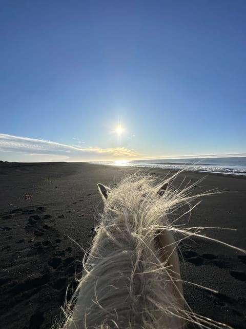 Southern Iceland: Black Beach Riding Tour - Riding Requirements and Recommendations