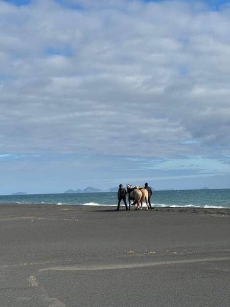 Southern Iceland: Black Beach Riding Tour - Reserving Your Spot