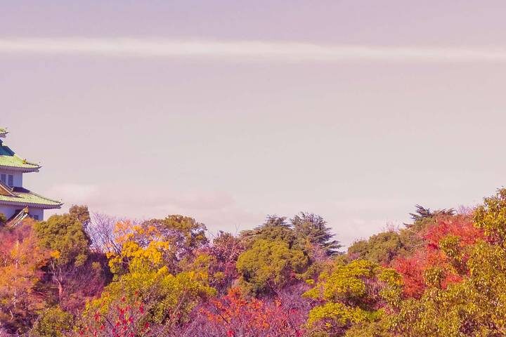 Southern Japan Experience by Intrepid Travel - 12 Days from Osaka - At a glance: art, hot springs and island rail travel