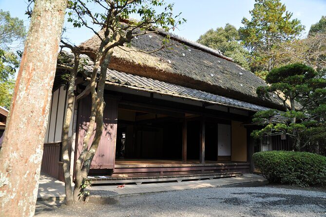 Southern Kyoto and Mie Iga Sightseeing and Rail Pass 1 Day Ticket - Authentic Insights and Traveler Tips