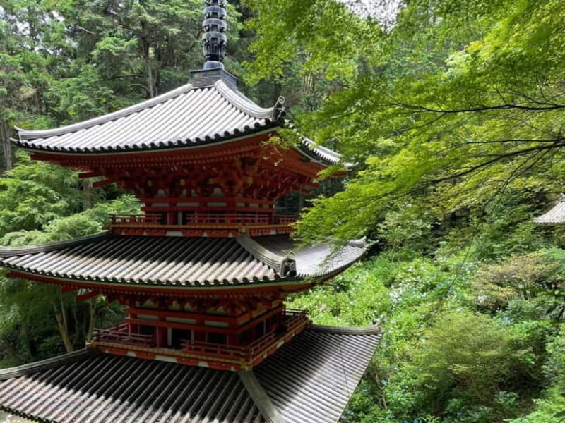 Southern Kyoto: Journey to Jruri-ji & Its Pure Land Garden - Good To Know