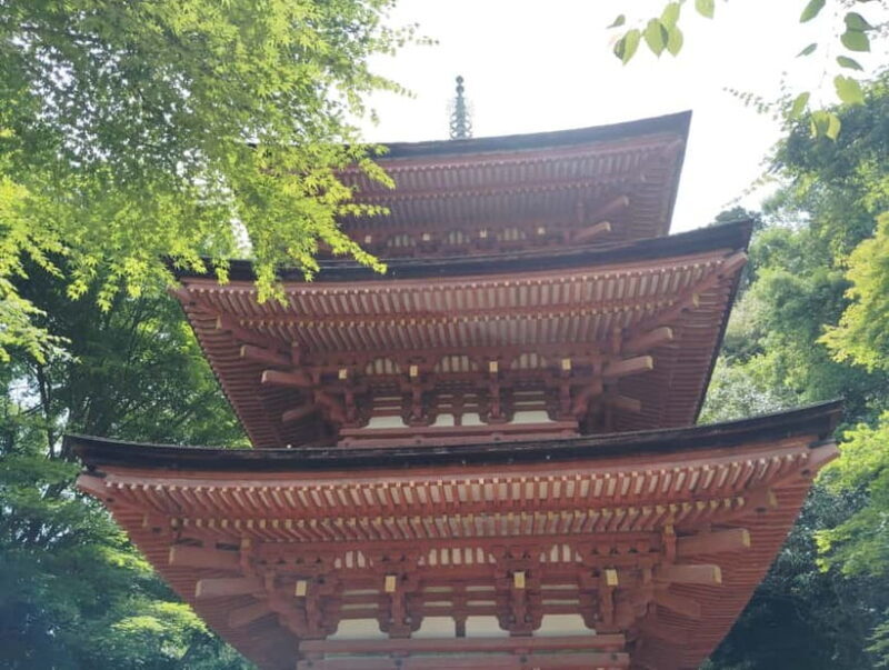 Southern Kyoto: Journey to Jruri-ji & Its Pure Land Garden - Who Will Enjoy This Tour?