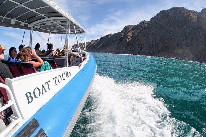 Southern Ocean Adventure From Victor Harbor - Tour Details