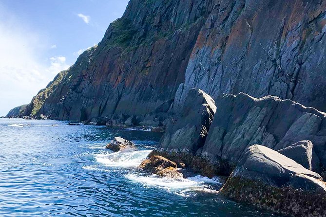 Southern Ocean Adventure From Victor Harbor - Inclusions